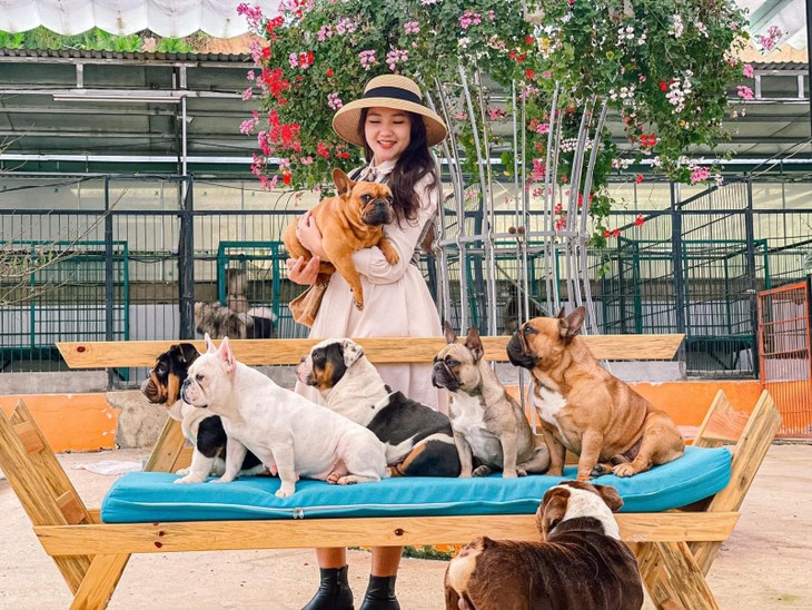 274992546 1039977549926065 4107211644216790771 N