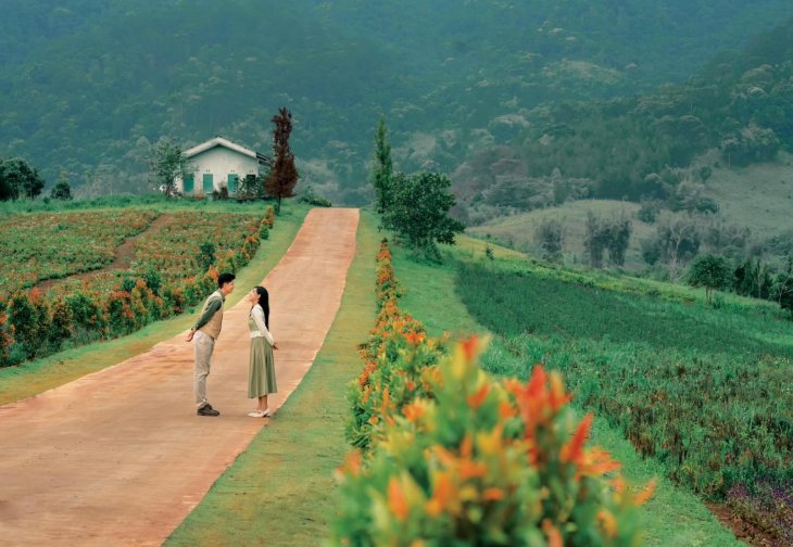 The Florest Hoa Trong Rung 1