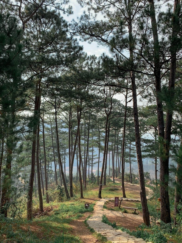 Chinh Anh Tone Mau Da Lat Bang Lightroom 6