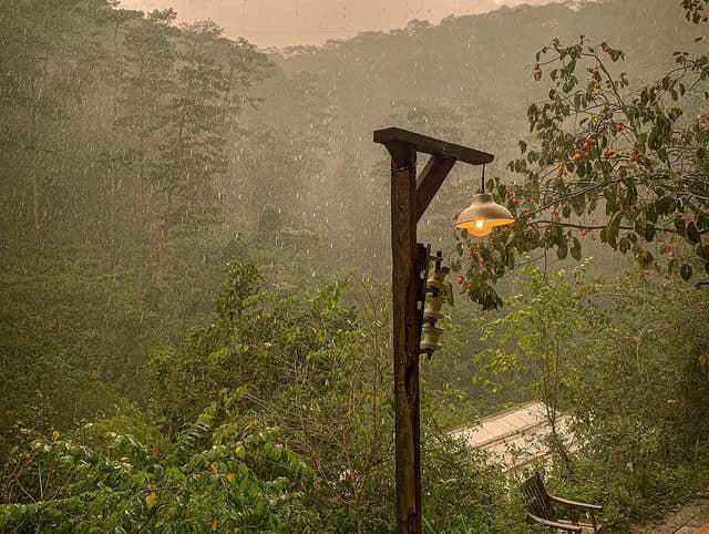 Ca Phe Ngam Mua Da Lat