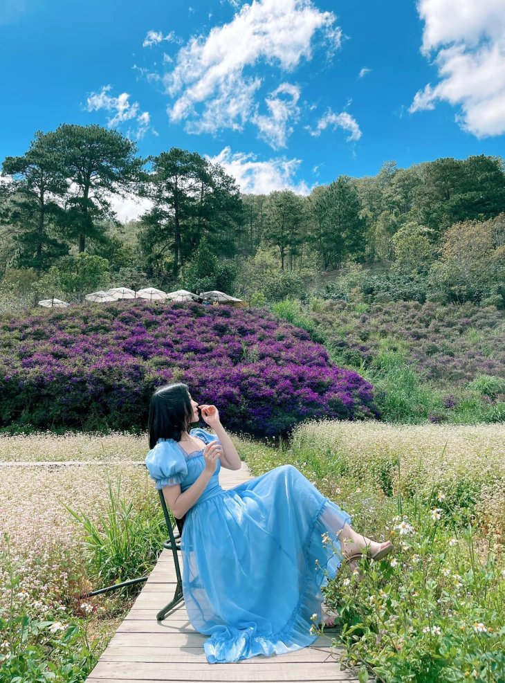 Tiem Ca Phe Trong Rung