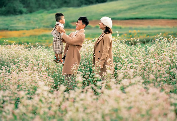 Canh Dong Hoa Tam Giac Mach Da Lat