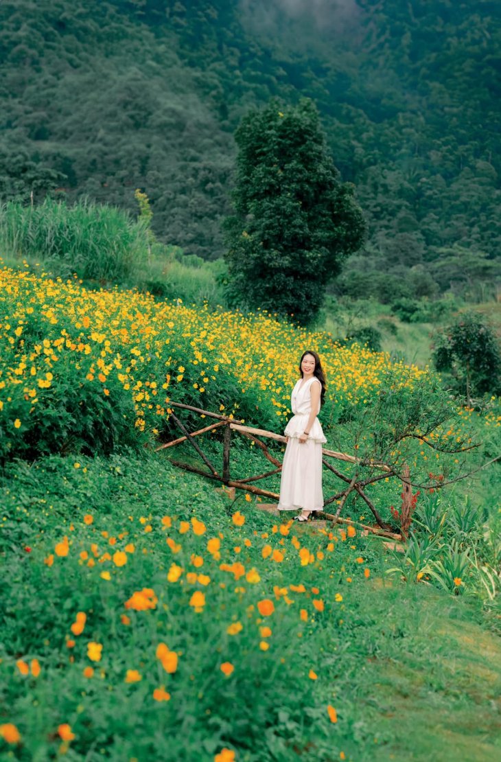 Hoa Canh Buom Da Lat Thang 8