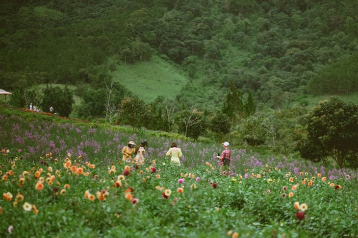 Thuoc Duoc Thach Thao O The Florest