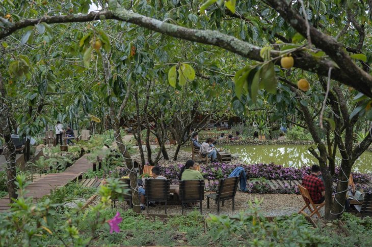 Persimmon Cuoi Thang 9