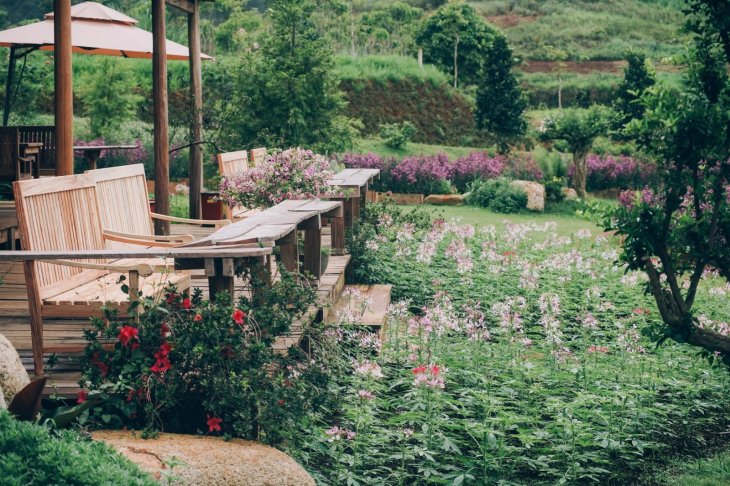 The Florest Hoa Trong Rung