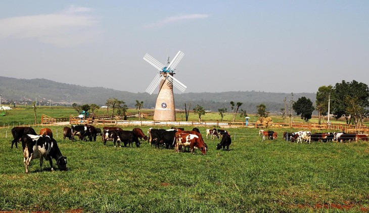 Vinamilk Organic Milk Farm