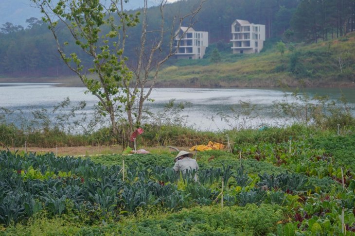 Dalat Wonder Resort 9