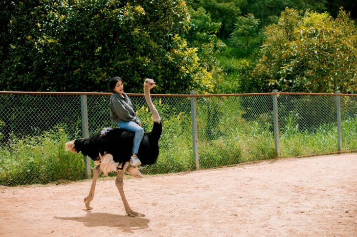 Dalat Wonderland 3