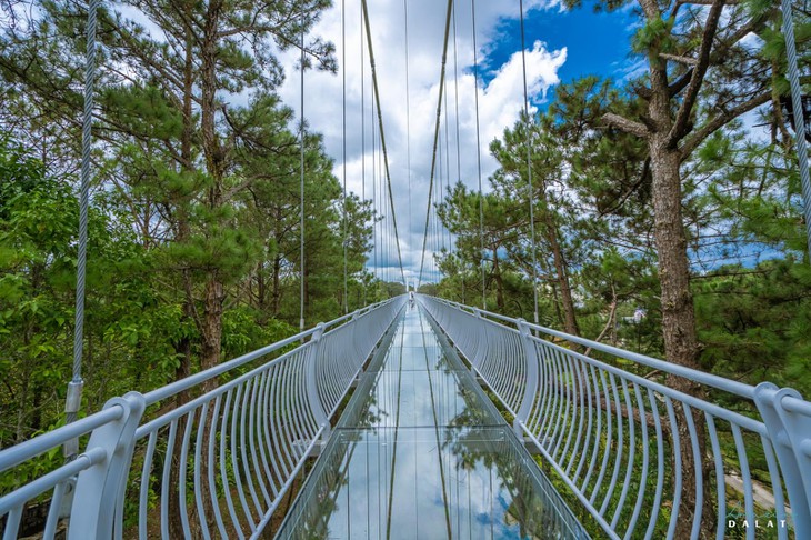 Cau Kinh Ngan Thong Da Lat 1