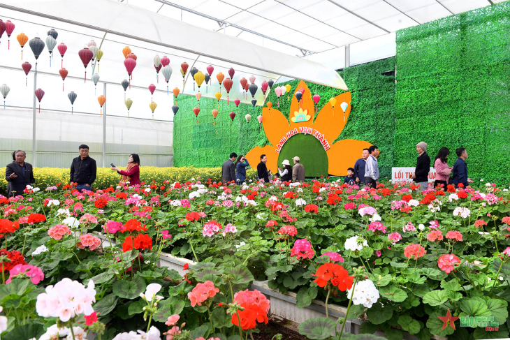 Kdl Lang Hoa Van Thanh