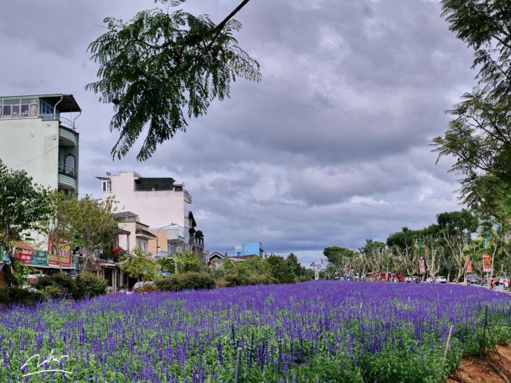 Cong Vien Hoa Ap Anh Sang