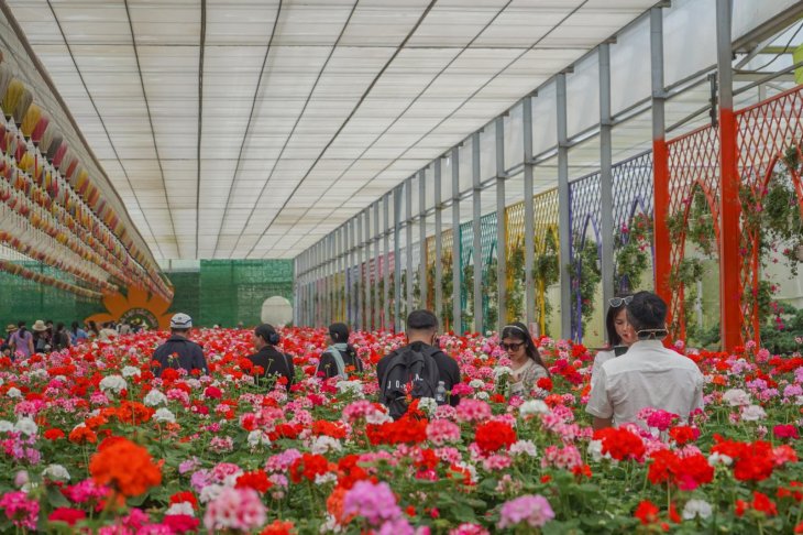 Kdl Lang Hoa Van Thanh