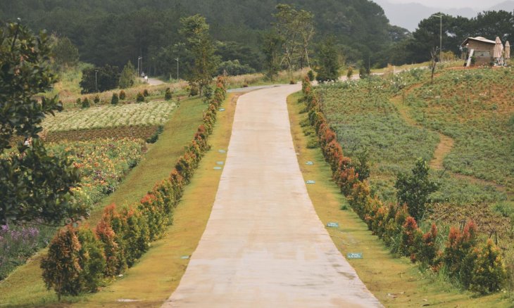 Con Duong Nhan Duyen The Florest