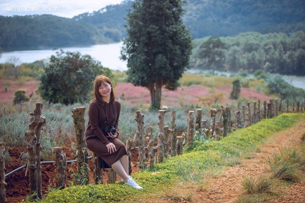 Dia Chi Vuon Hoa Lavender Da Lat