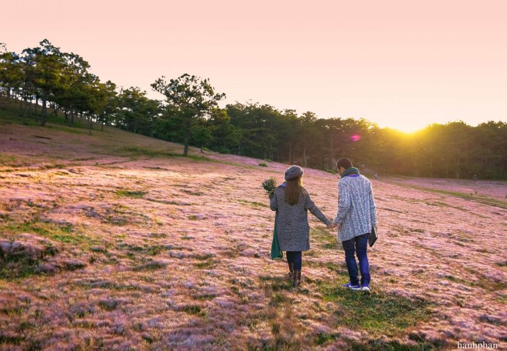 Doi Co Hong Thung Lung Vang