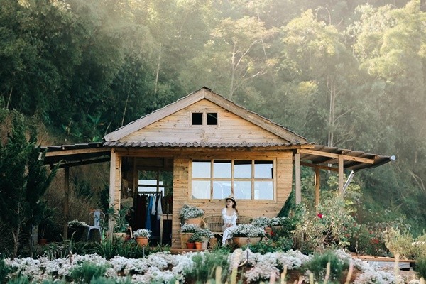 Lavender Tui Thuong Nho