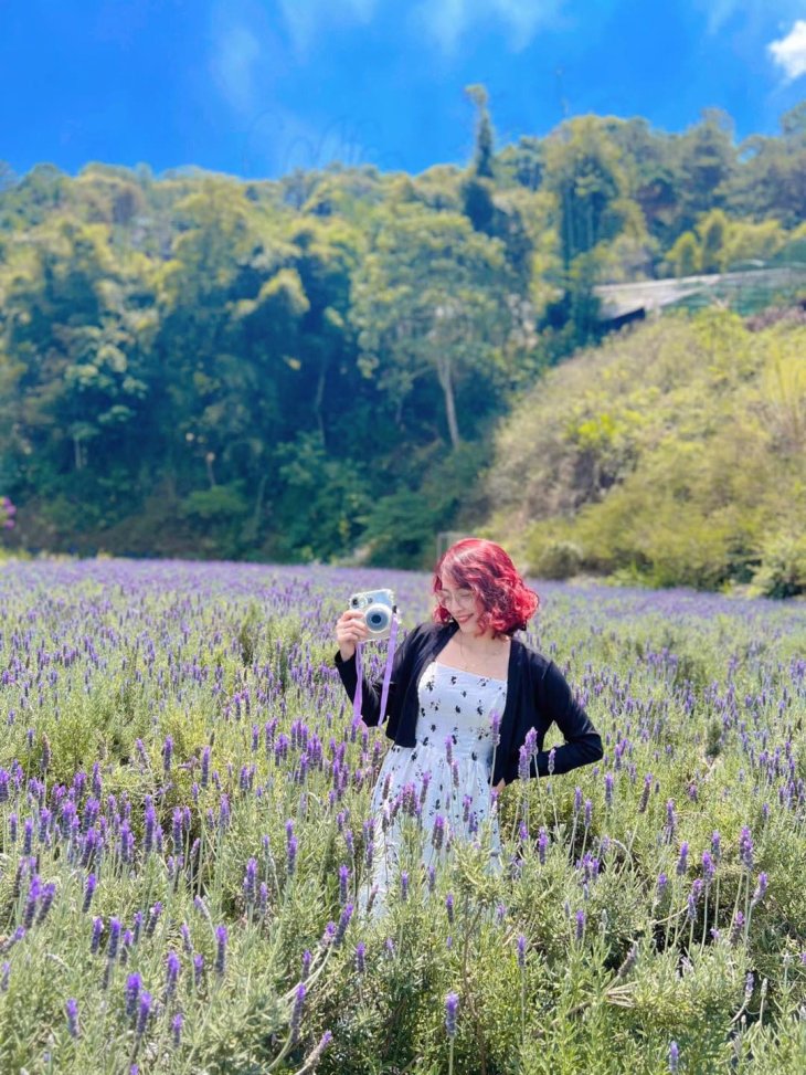 Lavender Tui Thuong Nho