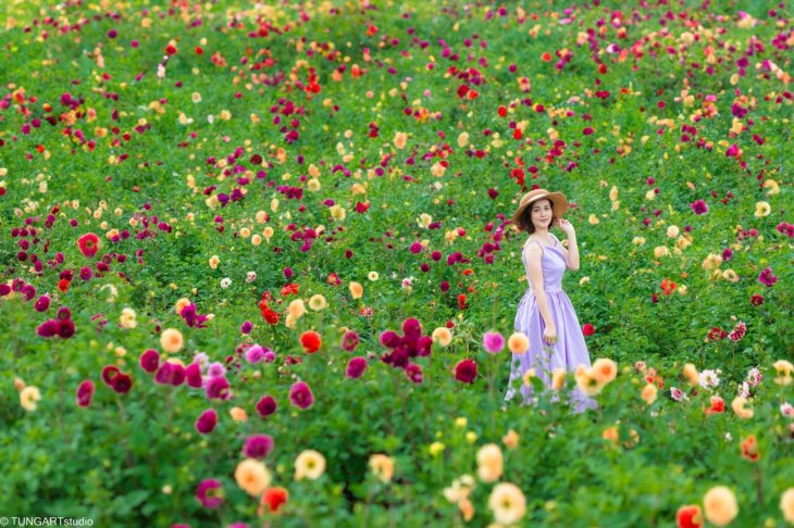 Mua Hoa Thuoc Duoc The Florest