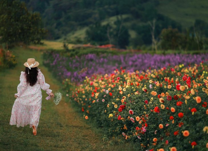 Vuon Hoa Da Lat Dep Nhat