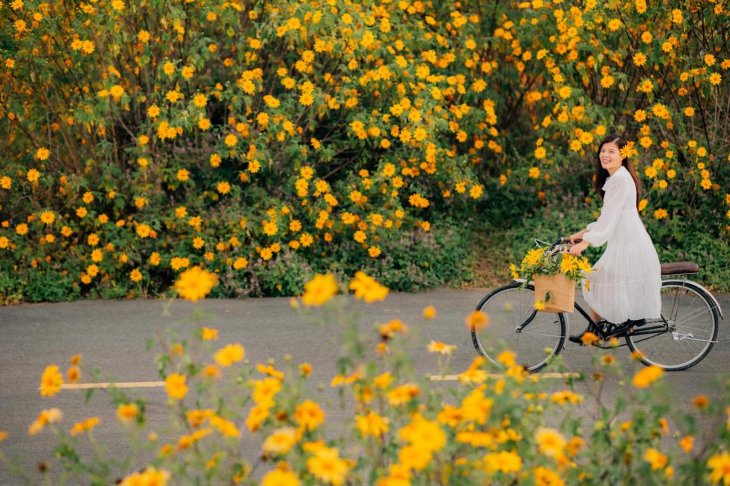 Mua Hoa Da Quy Da Lat