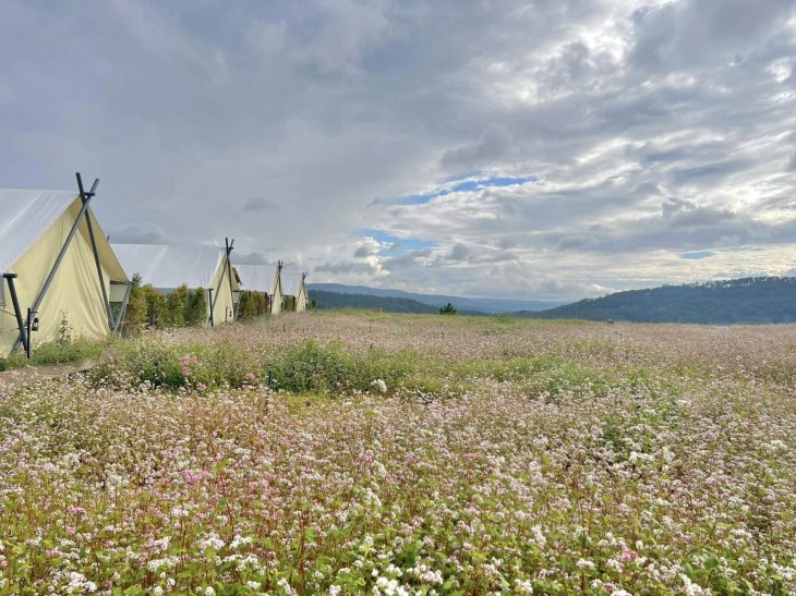 Tam Giac Mach Da Lat