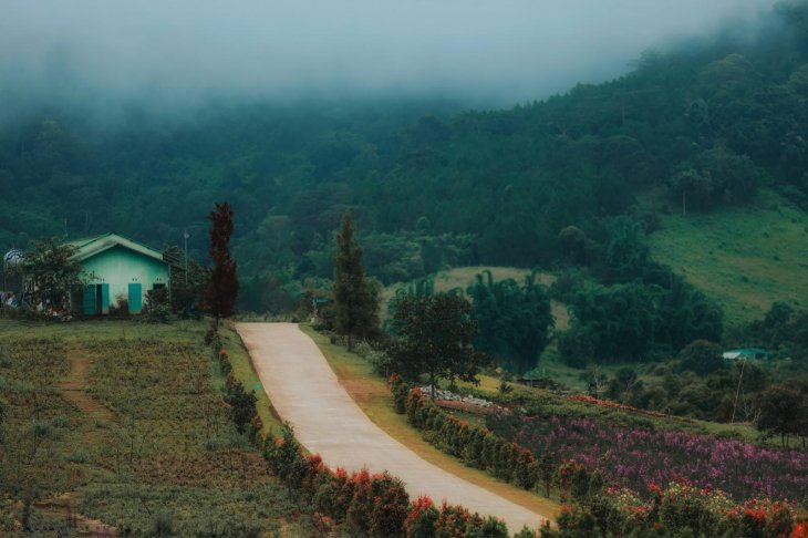 Thoi Tiet Da Lat Mua Dong