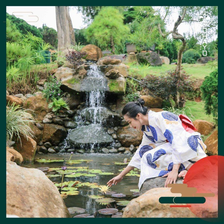 Check In Ohayo Da Lat