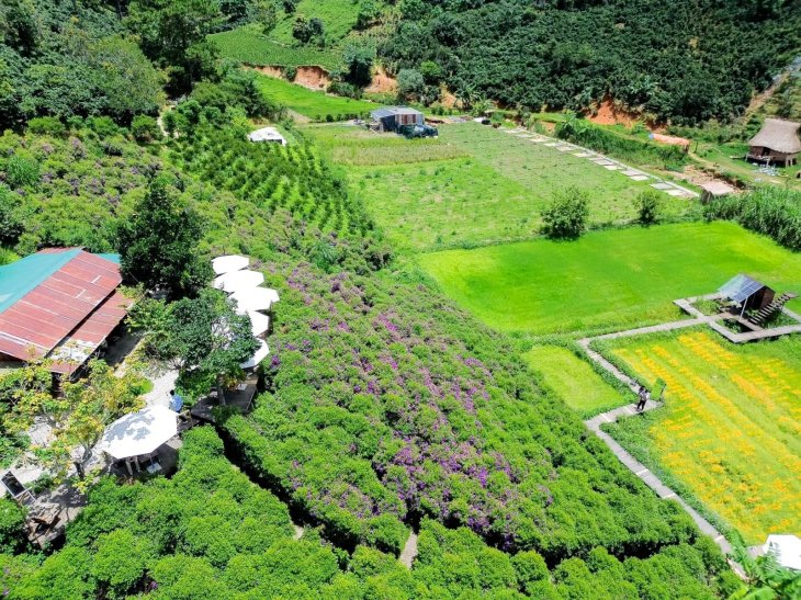 Tiem Cafe Trong Rung