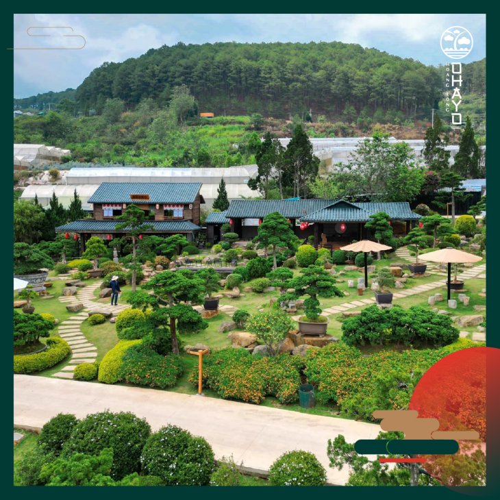 Vuon Bonsai Tai Kdl Ohayo