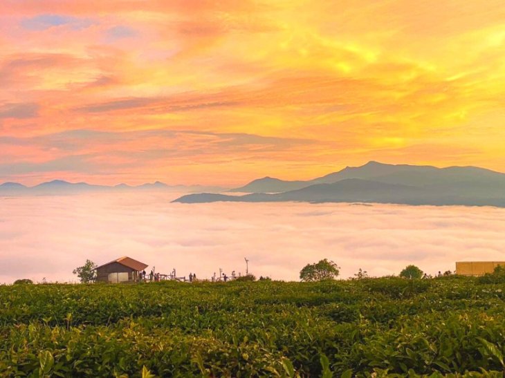 San May Doi Che Cau Dat