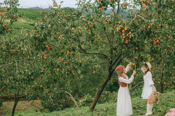 Da Lat Thang 11 Co Gi