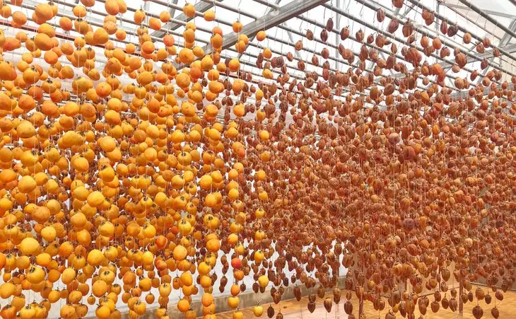 Dd28e598821764493d06 1