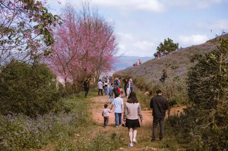 Z3058541133535 5d492d3436d1a3d97bd6ab13c09934eb