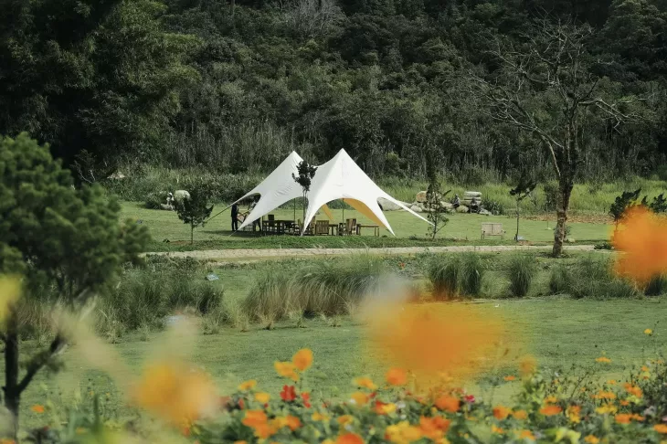 Camping The Florest Hoa Trong Rung