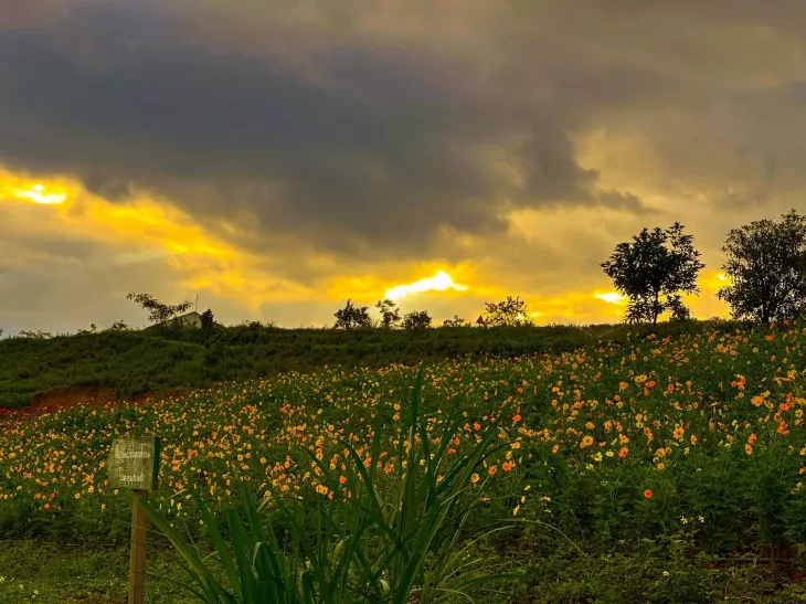 Hoang Hon Da Lat The Florest Ta Nung