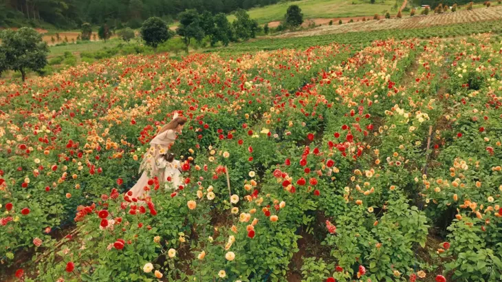 Dia Diem Quay Mv Da Lat 1