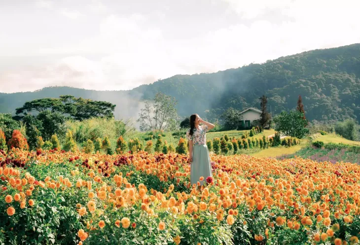 Vuon Hoa Dep Da Lat The Florest