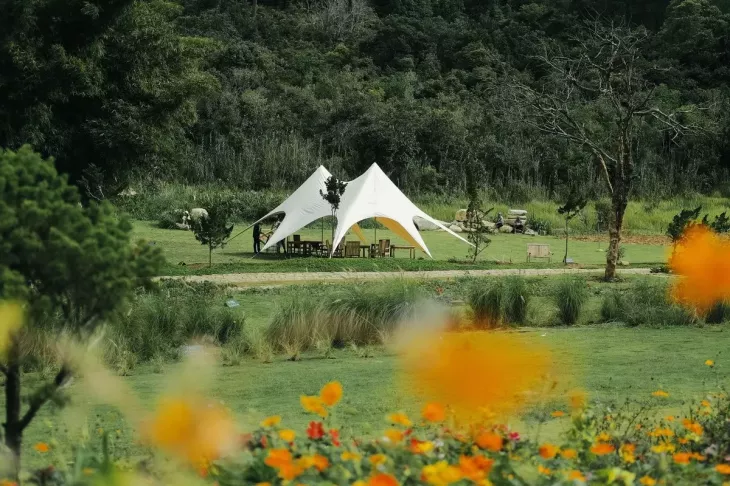 Camping The Florest Hoa Trong Rung