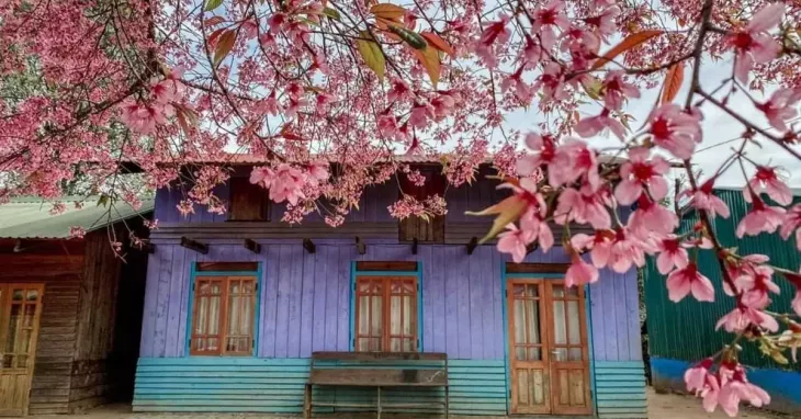 Mai Anh Dao Lang Long Lanh