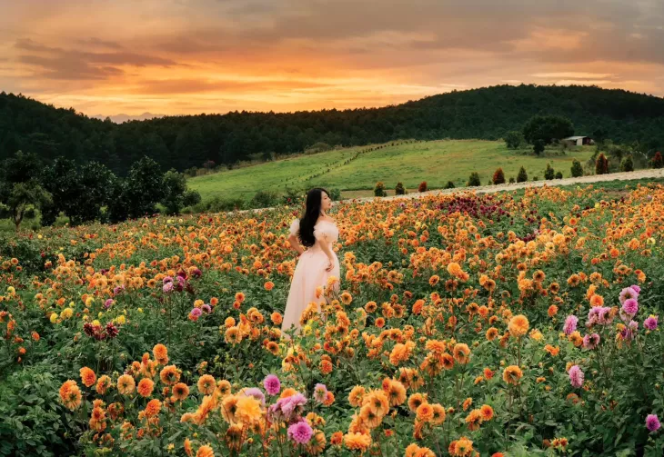 Hoang Hon Da Lat The Florest