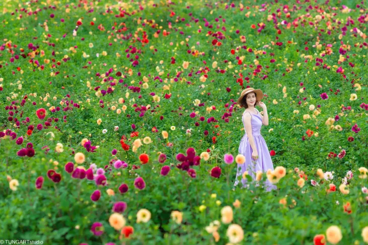 Mua Hoa Thuoc Duoc The Florest