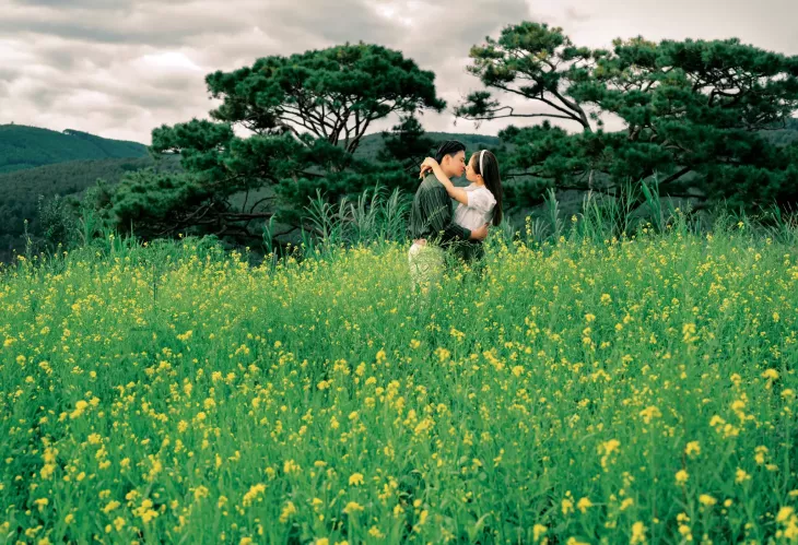 Canh Dong Hoa Cai Vang Da Lat
