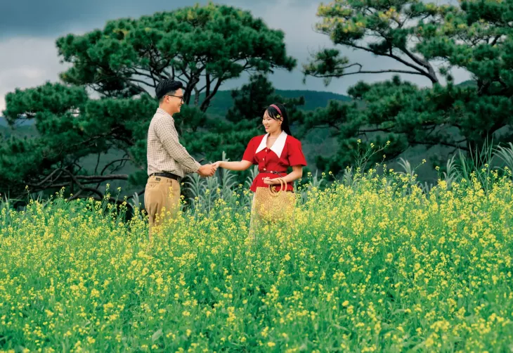 Canh Dong Hoa Cai Vang Da Lat The Florest