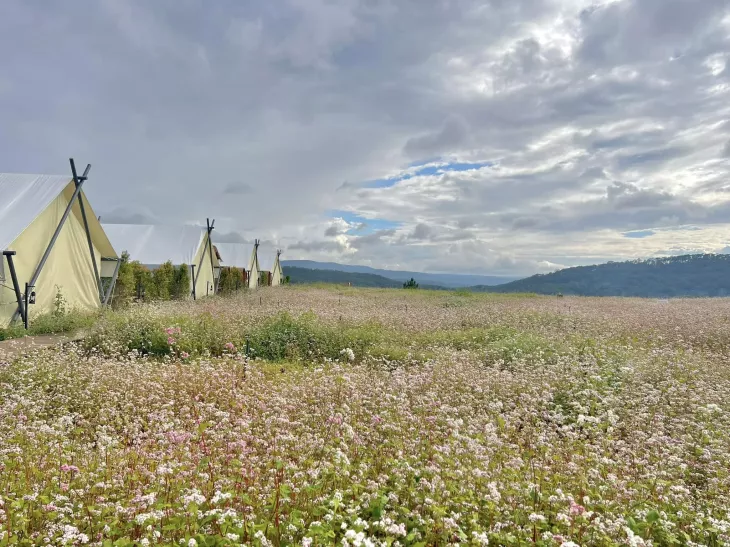 Tam Giac Mach Da Lat Campville