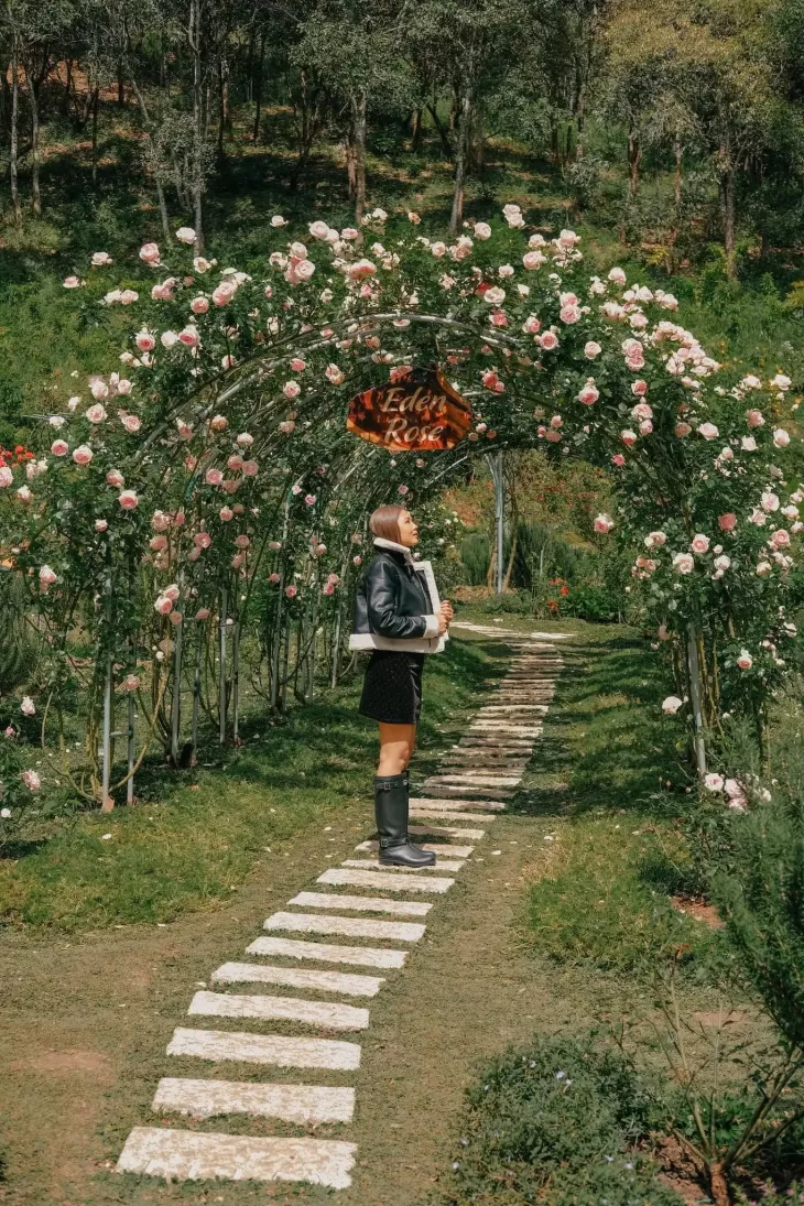 Rose Garden Cao Nguyen Hoa Da Lat 1