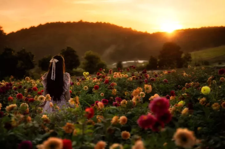 Vuon Hoa Da Lat Hoang Hon