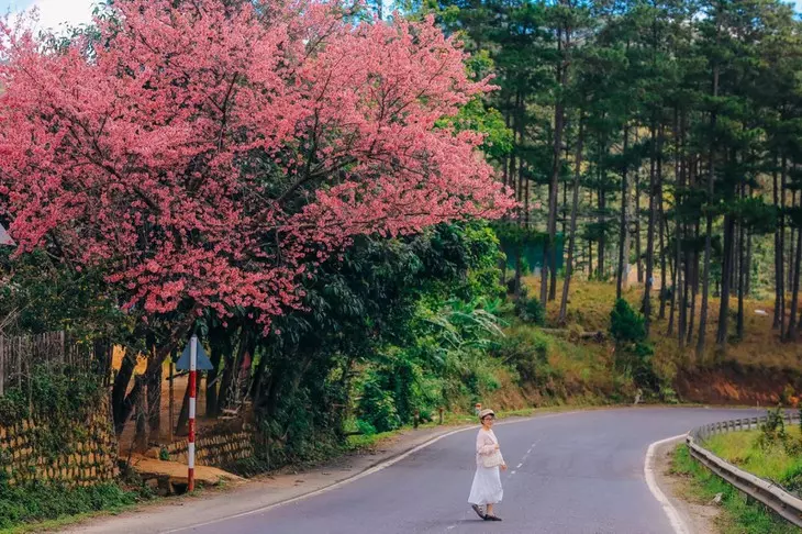 140296786 3560213334091563 2779152651214222530 O 1