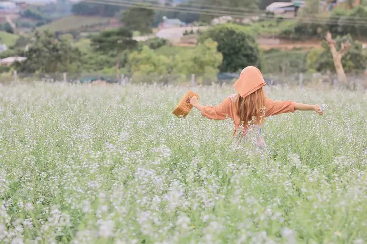 131573278 3478909915555239 1102883262921662142 N