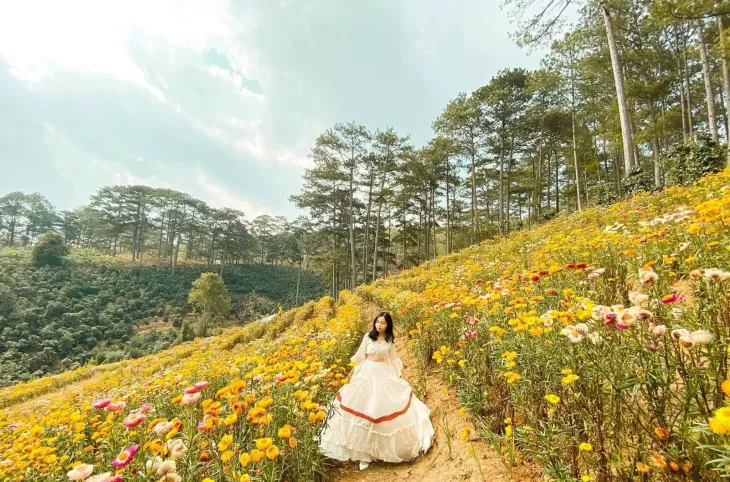 Rung Cuc Bat Tu Da Lat 1